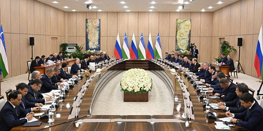 Генеральный директор Нацпроектстроя на переговорах российской делегации с Президентом Узбекистана 